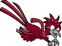 Roadrunner Rcnj Sticker by Ramapo College of New Jersey