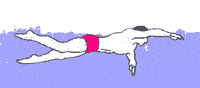 kingssuplementos suplementos exercicios GIF