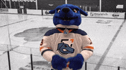 ontariotechridgebacks oshawa ontariotechridgebacks ontariotech ridgeback GIF