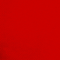 Bayer 04 Bundesliga GIF by Bayer 04 Leverkusen