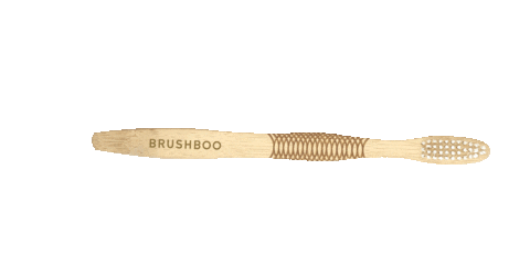 Toothbrush Bambootoothbrush Sticker by Brushboo