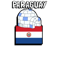 World Cup Football Sticker by Pudgy Penguins