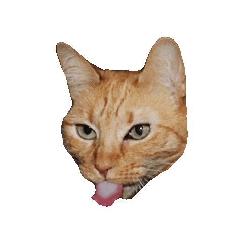 Cat Tongue Ginger Sticker by Smitten Kitten