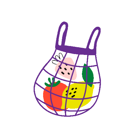 reimagineco fruit bag sustainability sustainable Sticker