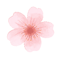 Flower Decorate Sticker