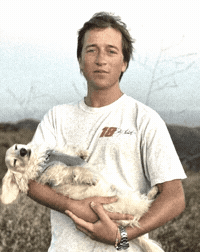 Dust Bowl Dog GIF by the innernette