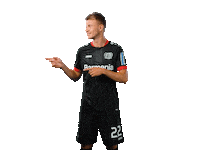 Bayer 04 Werkself Sticker by Bayer 04 Leverkusen
