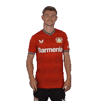 Love And Peace Win Sticker by Bayer 04 Leverkusen