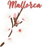 Palma De Mallorca Blossom Sticker by 180gradsalon