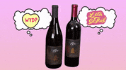 LeahVanDale cheers wine drinks salute GIF