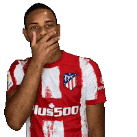 Champions League Football Sticker by Atlético de Madrid