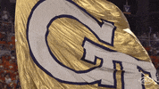 Gtfootball Accfootball GIF by The ACC
