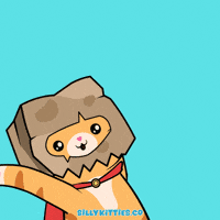 Happy Birthday Cat GIF by Silly Kitties