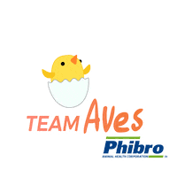 Connection Aves Sticker by Phibro Brasil