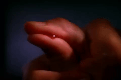 season 2 GIF by Twin Peaks on Showtime