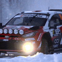 Rallying Rally Sweden GIF by FIA World Rally Championship