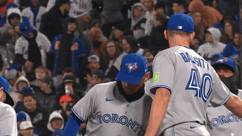 Blue Jays Baseball GIF by Toronto Blue Jays