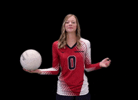 ccaeagle volleyball eagles cca cornerstone christian academy GIF