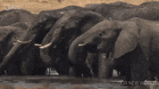 Drink Up Episode 1 GIF by PBS