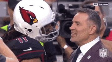 2018 Nfl Football GIF by NFL