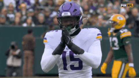 Celebration GIF by Minnesota Vikings