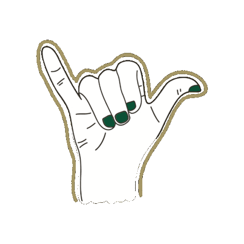 UNCCharlotte giphygifmaker niners uncc unc charlotte Sticker