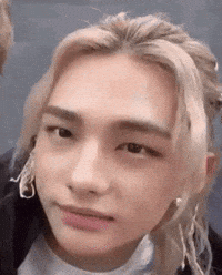 Stray Kids Skz GIF