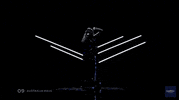 jessica mauboy australia GIF by Eurovision Song Contest