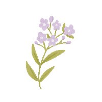 Summer Flower Sticker