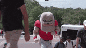 jumping jacks exercise GIF by University of Georgia