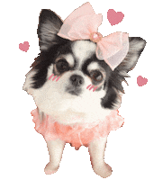 Dogs Love Sticker