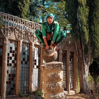 Rana Principe GIF by Nespolo Giullare