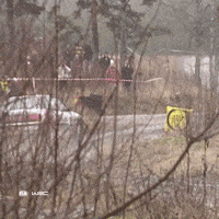 Fail Car Crash GIF by FIA World Rally Championship