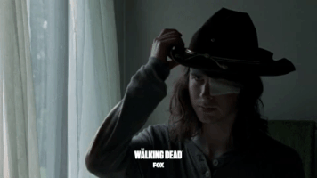 the walking dead fox GIF