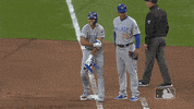 chicago cubs sport GIF by MLB