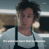 Twining Fx Networks GIF by The Bear