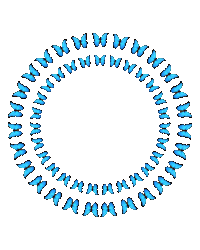 Circle Butterfly Sticker