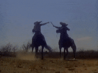 Vicente Fernandez Mexico GIF