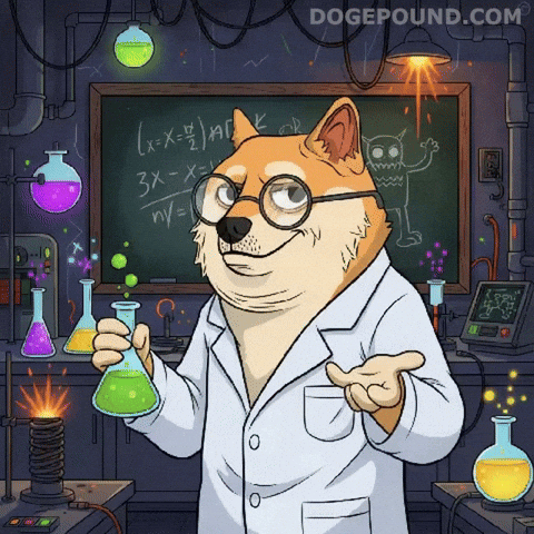 Mad Scientist Shrug GIF by Doge Pound