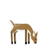 Winter Omg Sticker