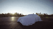 Car Team GIF