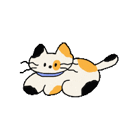 Cat Sleep Sticker