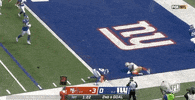 Regular Season Football GIF by NFL