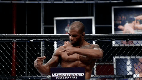 the ultimate fighter gilbert smith GIF