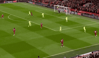 gini_wijnaldum champions league liverpool ucl ynwa GIF