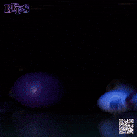 Yankees Jets GIF by Marcel Katz / The Art Plug