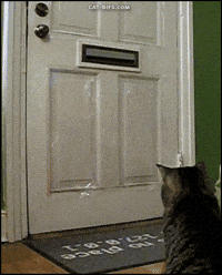 duty mailman GIF