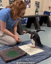 Woman Eat GIF
