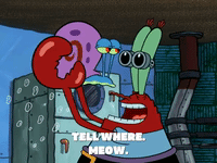 season 6 penny foolish GIF by SpongeBob SquarePants