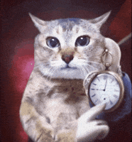 Alice In Wonderland Cat GIF